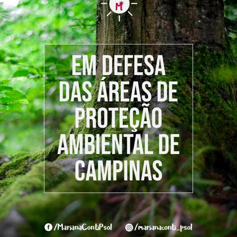 Em defesa das áreas de proteção ambiental de campinas