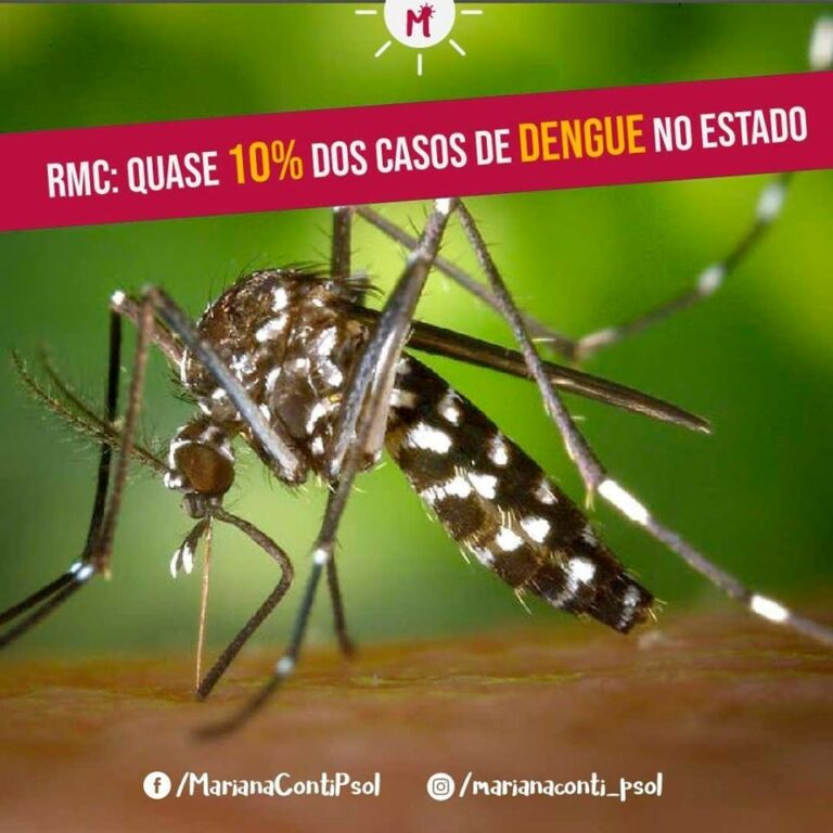 Quase 10% dos casos de dengue do estado de são Paulo ocorreram na RMC.