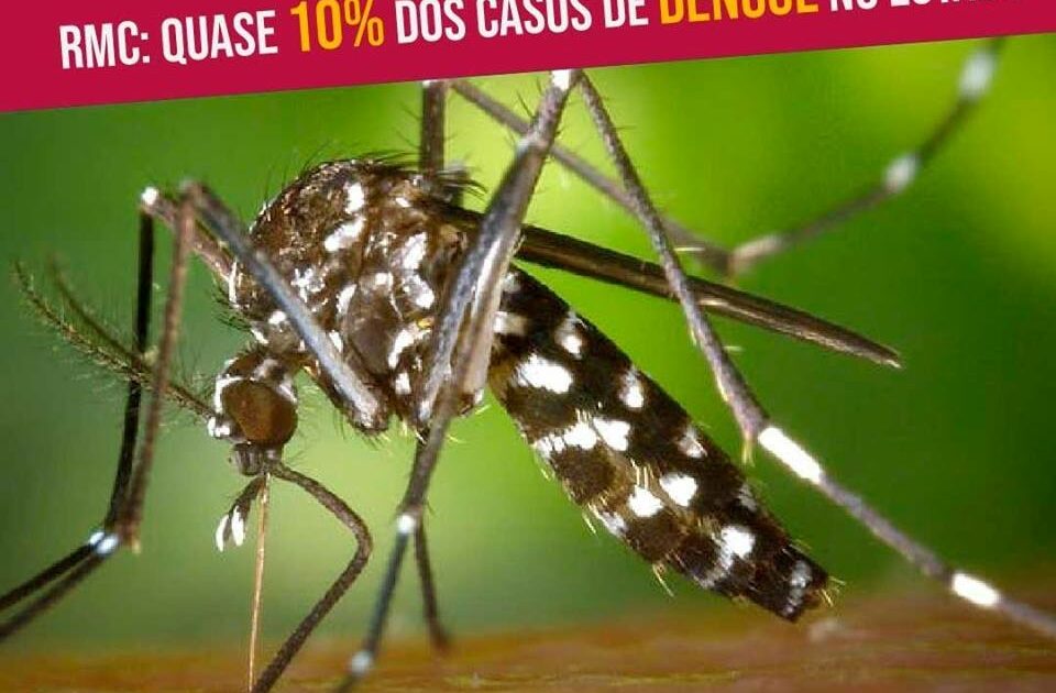 Quase 10% dos casos de dengue do estado de são Paulo ocorreram na RMC.