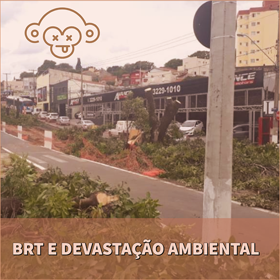Obras do BRT: Supressão de árvores e empobrecimento da paisagem natural