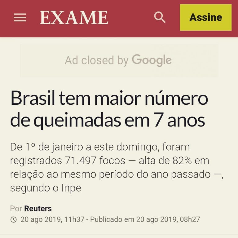 Desmatamento aumenta drasticamente no Brasil