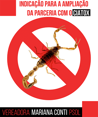 Infestação de escorpiões e a importância do CIATox