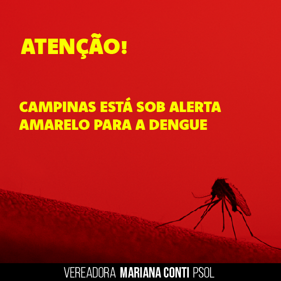 Alerta! todos Contra a Dengue