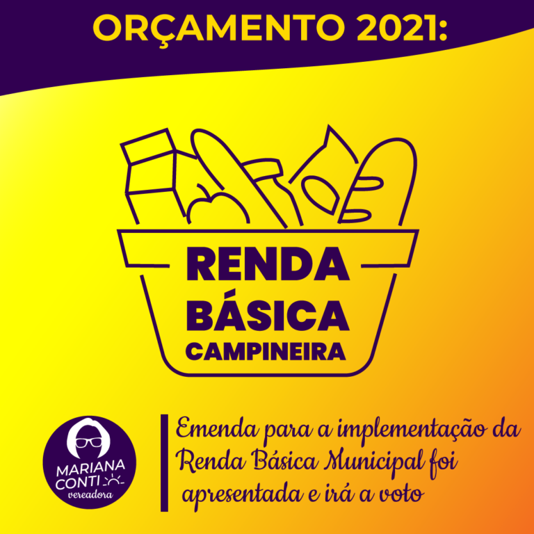 Apresentada Emenda pela inclusão da Renda Básica no Orçamento de 2021