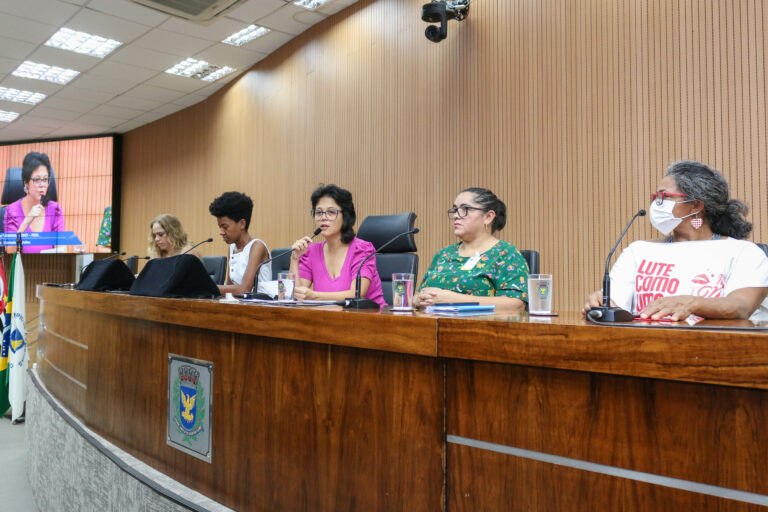 Mariana e Comissão da Mulher cobram criação de Secretaria da Mulher em Campinas