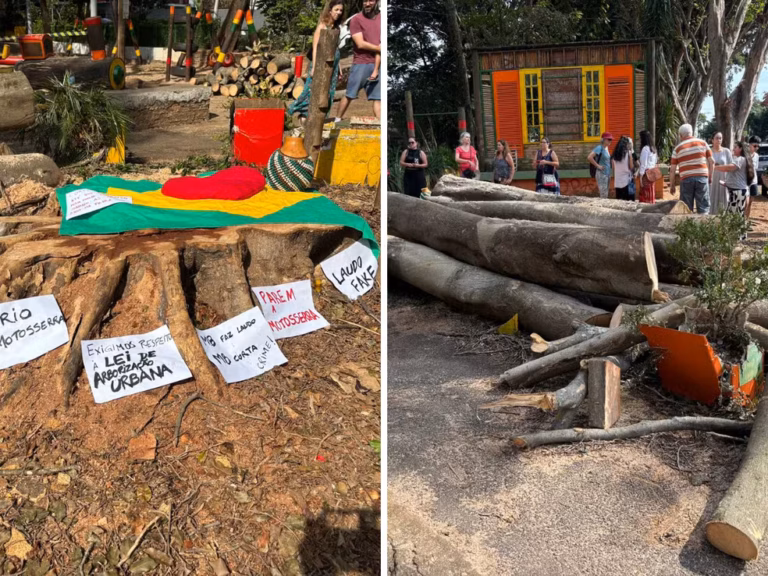 Mariana Conti repudia corte de árvores na Praça do Coco, ordenado pela Prefeitura