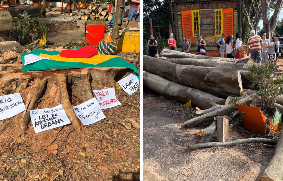 Mariana Conti repudia corte de árvores na Praça do Coco, ordenado pela Prefeitura