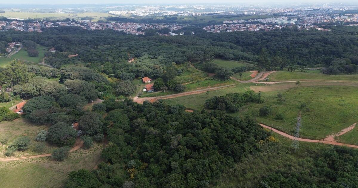 Deputada Sâmia Bomfim e vereadora Mariana Conti acionam TCU para suspender leilão da Fazenda Remonta por suspeitas de irregularidades