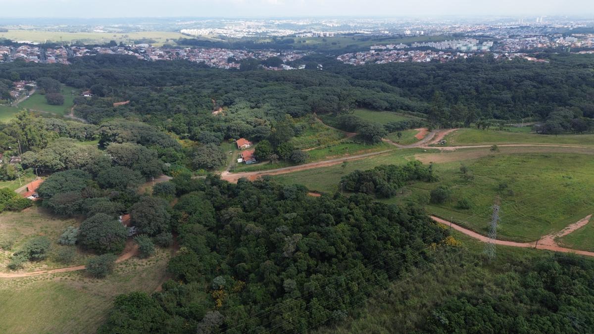Deputada Sâmia Bomfim e vereadora Mariana Conti acionam TCU para suspender leilão da Fazenda Remonta por suspeitas de irregularidades